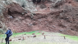 IMG-20250217-WA0000