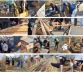 Naturalitzar el pati, “guanyar verd” a l'institut Vallvera de Salt. 